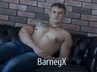 BarneyX