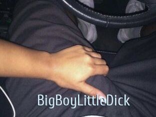 BigBoyLittleDick