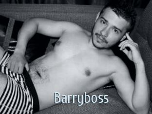 Barryboss