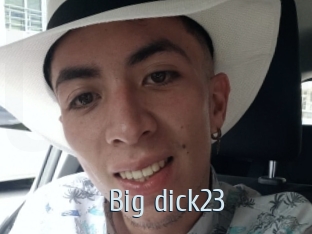 Big_dick23