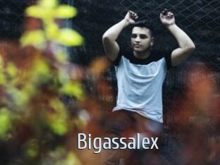 Bigassalex