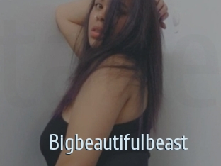 Bigbeautifulbeast