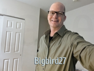 Bigbird27