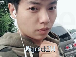 Bigcock214