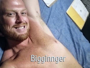 bigginnger Ta Model