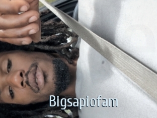 Bigsapiofam