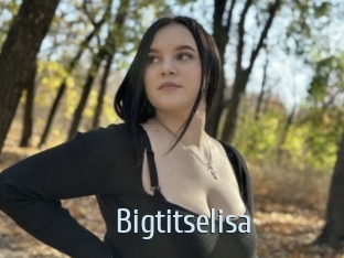 Bigtitselisa