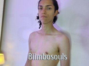 biimbosouls Ta Model