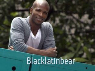 Blacklatinbear