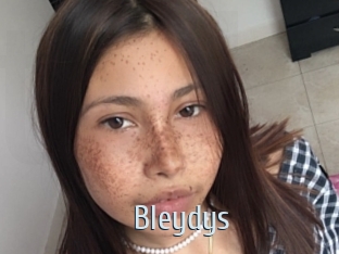 Bleydys