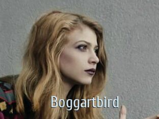 Boggartbird