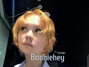 bonniehey Ta Model