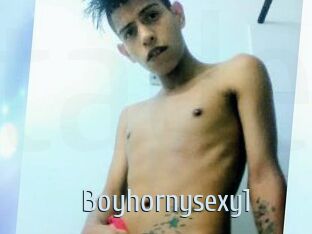 Boyhornysexy1