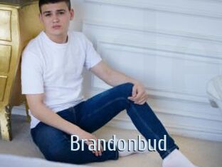 Brandonbud