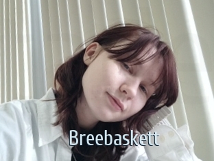 Breebaskett