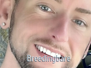 breedingbare Ta Model