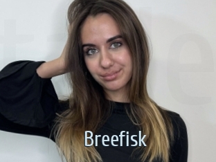 Breefisk