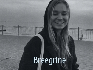 Breegrine