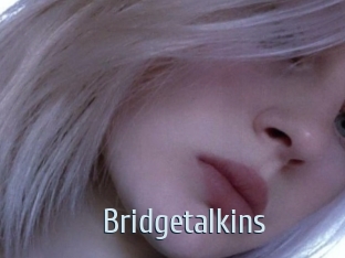 Bridgetalkins