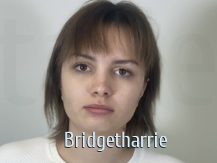 Bridgetharrie