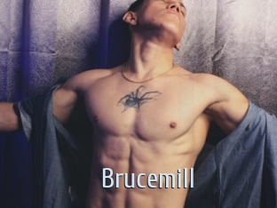 Brucemill