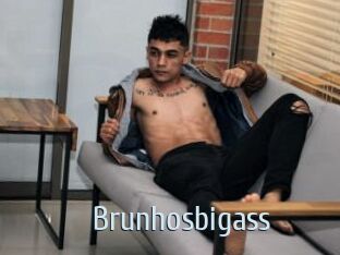 Brunhosbigass