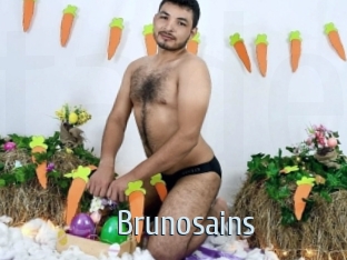 Brunosains