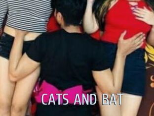 CATS_AND_BAT