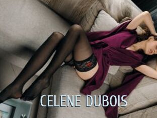 CELENE_DUBOIS