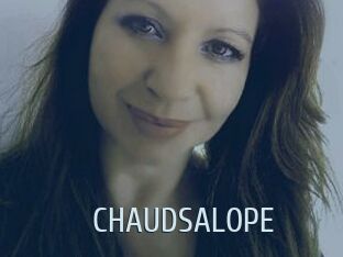 CHAUDSALOPE