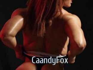 CaandyFox Ta Model