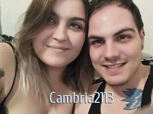 Cambria2113