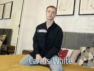 Carlos_White Ta Model