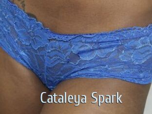 Cataleya_Spark