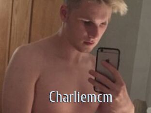Charliemcm Ta Model