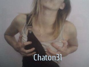 Chaton31