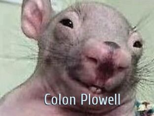 Colon_Plowell