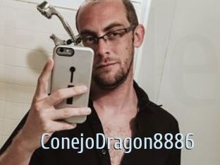 ConejoDragon8886