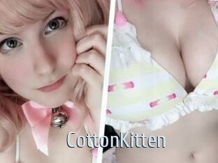 CottonKitten