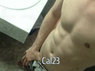 Cal23