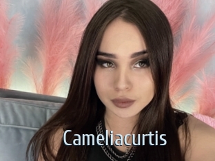Cameliacurtis