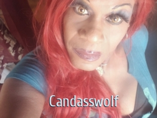 Candasswolf