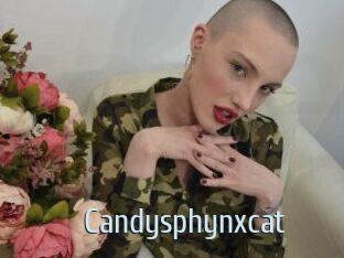 Candysphynxcat