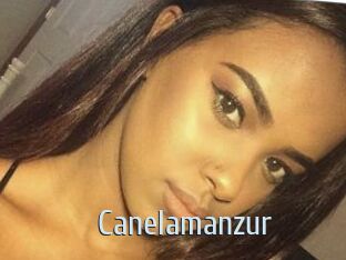 Canelamanzur