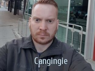 Cangingie