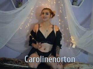 carolinenorton Ta Model