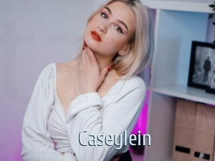 caseylein Ta Model