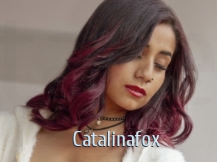 Catalinafox