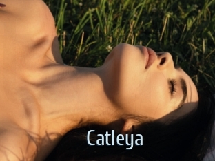 Catleya