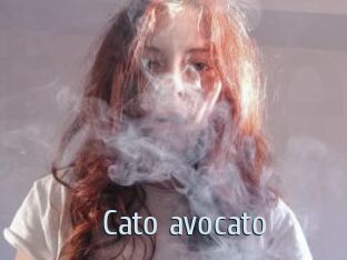Cato_avocato